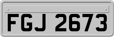FGJ2673
