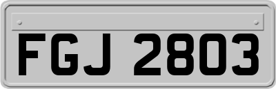 FGJ2803