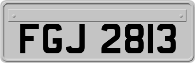 FGJ2813