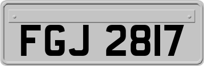 FGJ2817