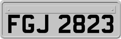 FGJ2823