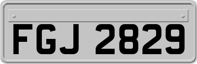 FGJ2829