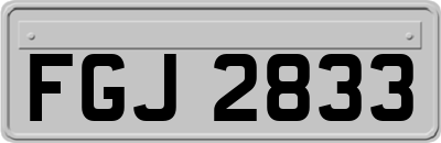 FGJ2833
