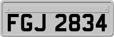 FGJ2834