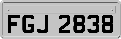 FGJ2838