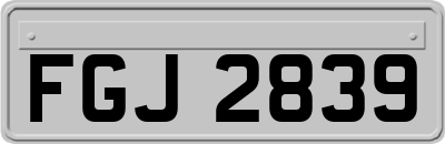FGJ2839