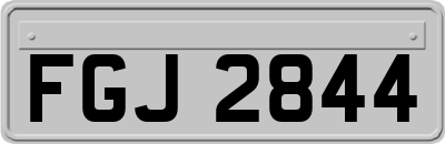 FGJ2844