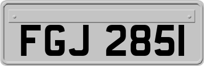 FGJ2851