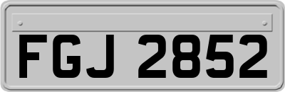 FGJ2852