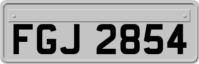 FGJ2854