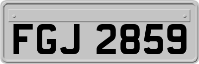 FGJ2859