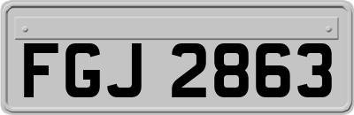 FGJ2863