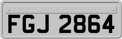FGJ2864
