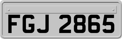 FGJ2865