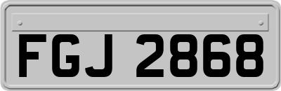 FGJ2868