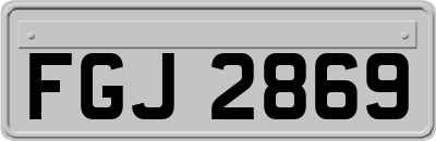 FGJ2869