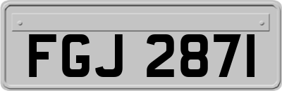 FGJ2871