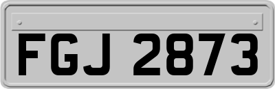 FGJ2873