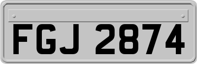 FGJ2874