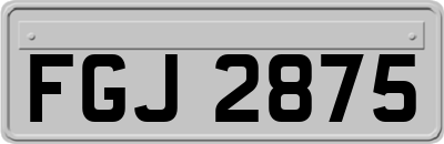 FGJ2875