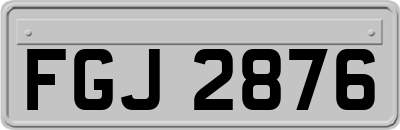 FGJ2876