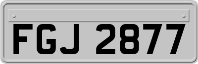 FGJ2877