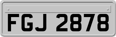 FGJ2878