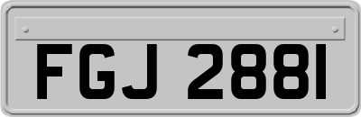FGJ2881
