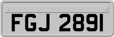 FGJ2891