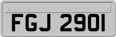 FGJ2901