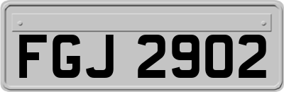 FGJ2902