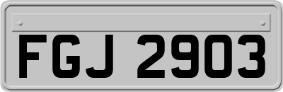 FGJ2903