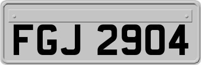 FGJ2904