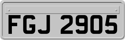 FGJ2905