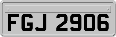 FGJ2906