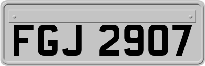 FGJ2907