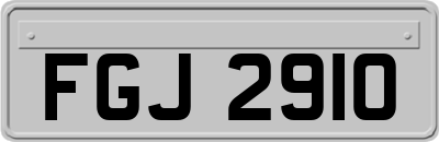 FGJ2910