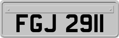 FGJ2911