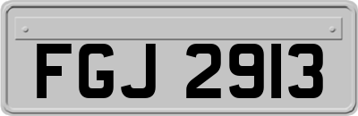 FGJ2913