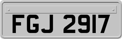 FGJ2917