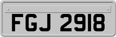 FGJ2918