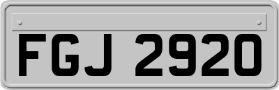 FGJ2920