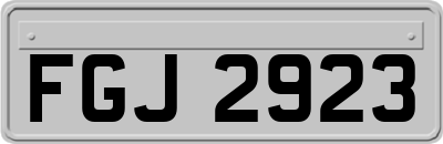 FGJ2923