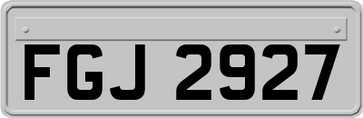 FGJ2927