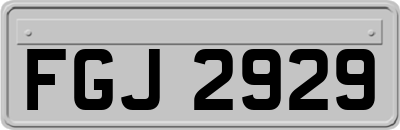 FGJ2929