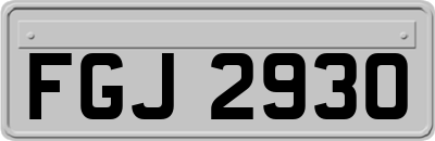 FGJ2930