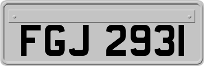 FGJ2931