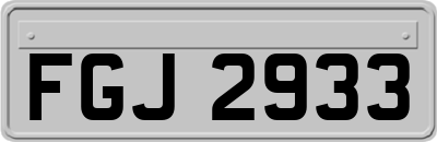 FGJ2933