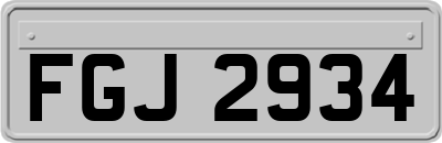FGJ2934