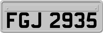 FGJ2935